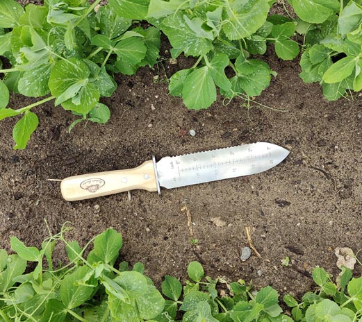 Outil de jardin multifonction : couteau, une scie, creusement - AD0009