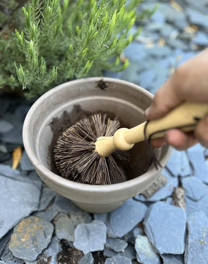 Brosse pour pots de fleurs - Nettoyage efficace et écologique