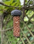 Nourrir les oiseaux – Silo en forme de gland pour remplir de noix