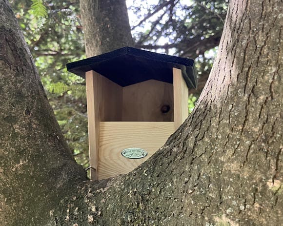 Nichoir installé dans un arbre pour accueillir les oiseaux tel que le rouge-gorge
